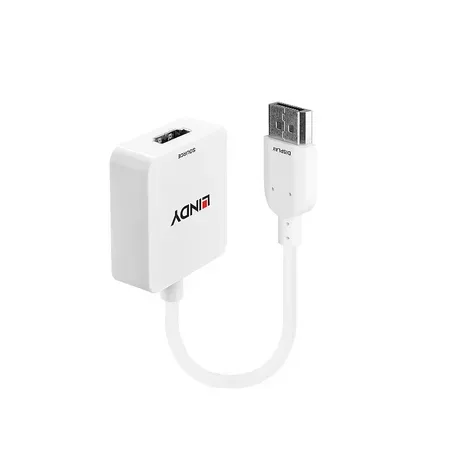 Lindy 38146 videoadapter HDMI till DisplayPort vit