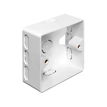 Delock Back Box