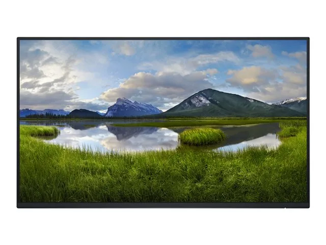 Dell P2425H - utan ställ