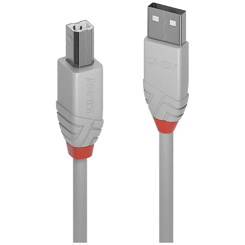Lindy 36681 USB-kabel USB 2.0 0,5 m USB A USB B Grå
