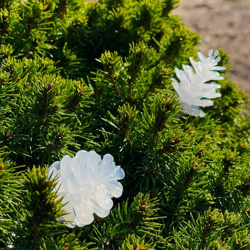 LightsOn Pine 10m ljusslinga vita ljusskimrande kottar