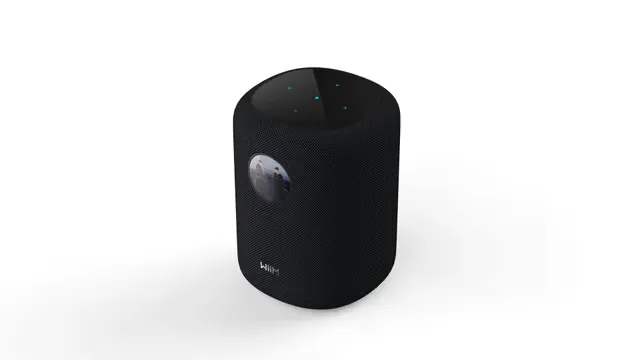 WiiM Sound trådlös högtalare, svart