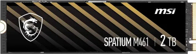 MSI Spatium M461