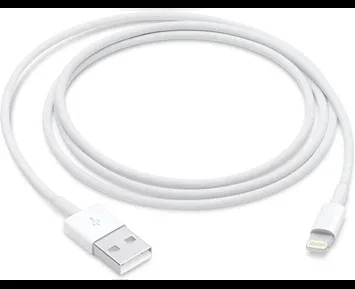 Apple Lightning to USB Cable