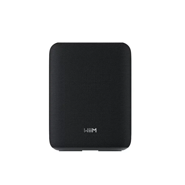 WiiM Sound Lite multiroom-högtalare, svart