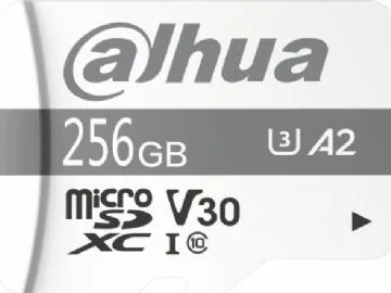Dahua Technology P100, 256 GB