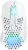 Cherry Xtrfy M4 Wireless RGB Gaming Mouse