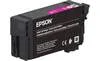 Epson XD2 Magenta