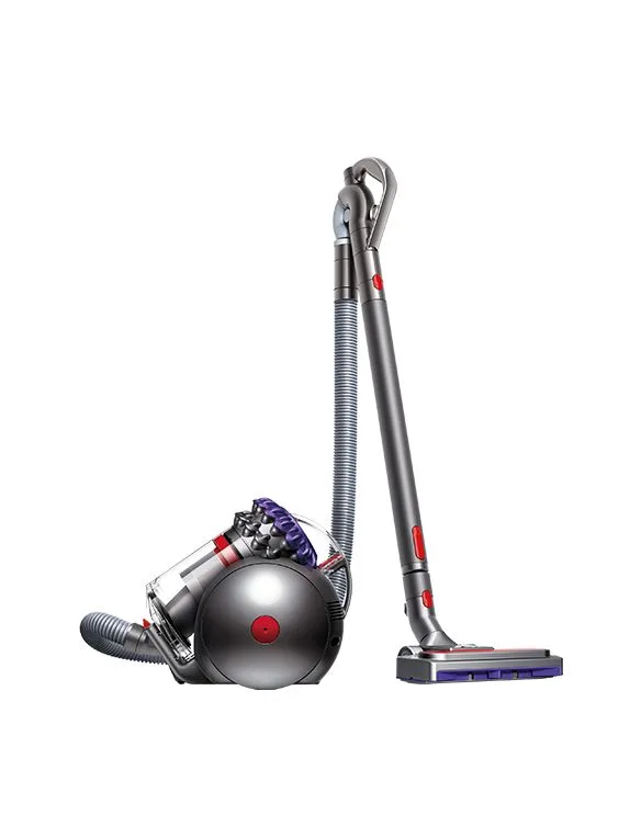 Dyson Big Ball Parquet 2 dammsugare