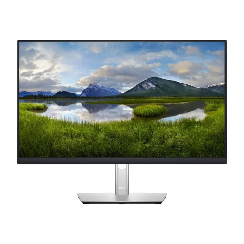 Dell P2422H skärm