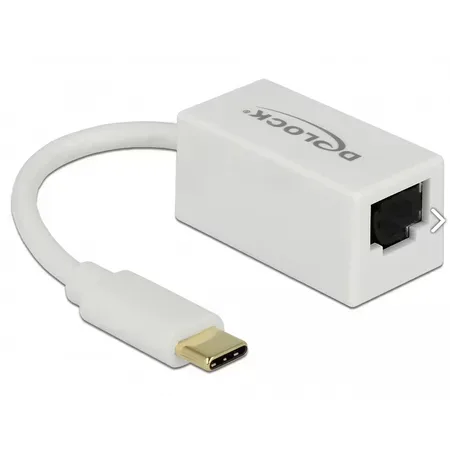 Delock nätverksadapter USB 3.1 Gen 1 USB-C vit