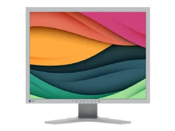 EIZO FlexScan S2134 skärm