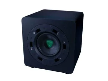 Beale Street 6,5" subwoofer