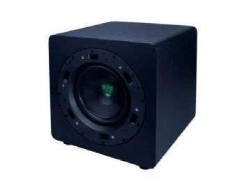 Beale Street 8" subwoofer