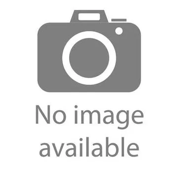 iPad Air Smart Case