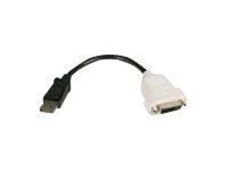 Lenovo DVI-D till DisplayPort-kabel 0,2 m
