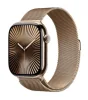 Apple Watch Series 10 (GPS + Cellular)