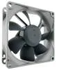 Noctua NF-R8 redux-1800PWM