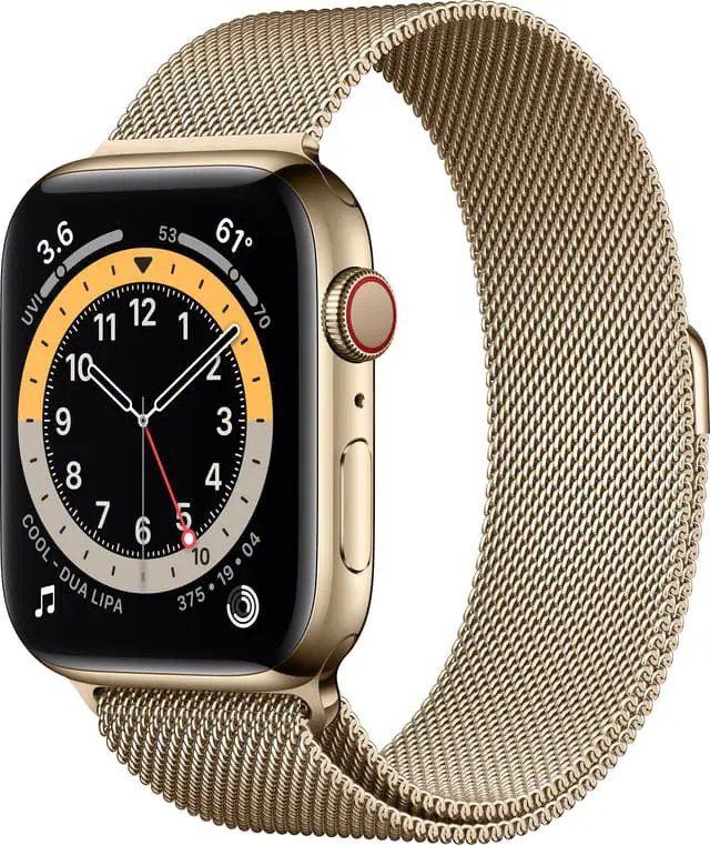 Apple Watch Series 6 44mm GPS+Cellular