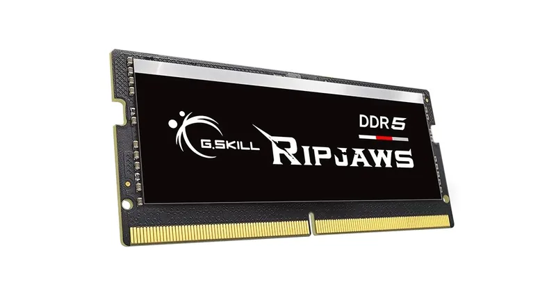 G.Skill Ripjaws F5-5600S4040A16GX1-RS minnesmodul 16 GB 1 x 16 GB DDR5