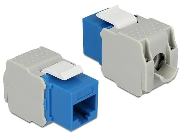 Delock Keystone module