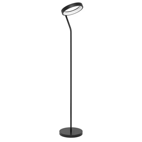 Eglo Marghera-Z golvlampa svart