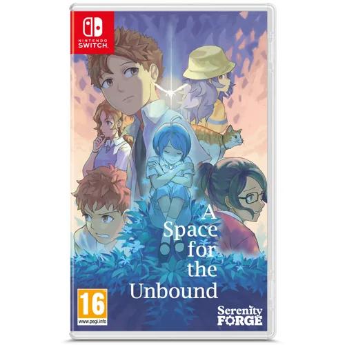 A Space For The Unbound (Import/Multi in Games)