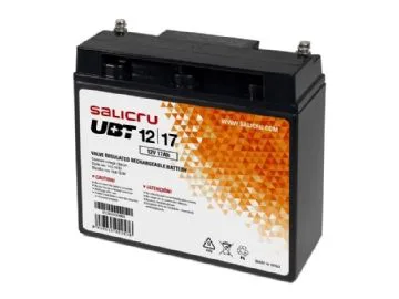 Salicru 013BS000004