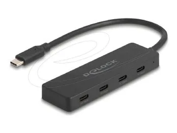 Delock USB 10 Gbps USB Type-C-hubb