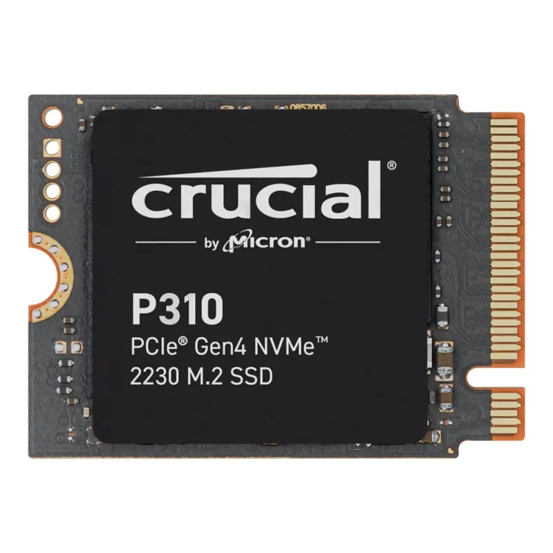 Crucial P310
