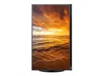 Lenovo ThinkVision P27u-10