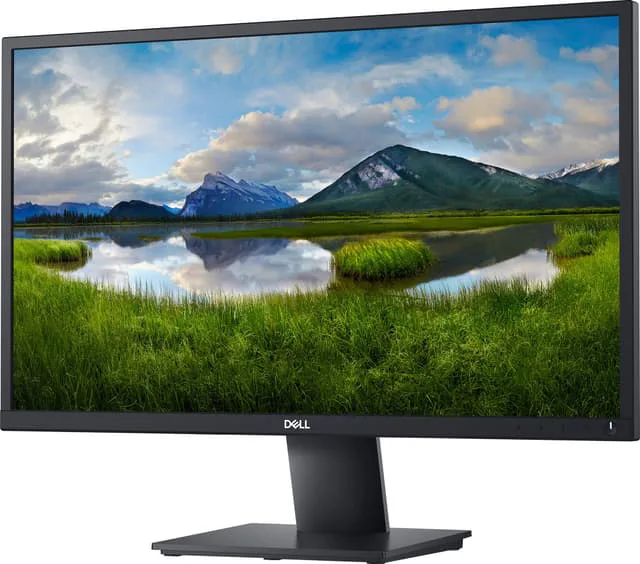 DELL E2421HN 23,8" bildskärm (svart)