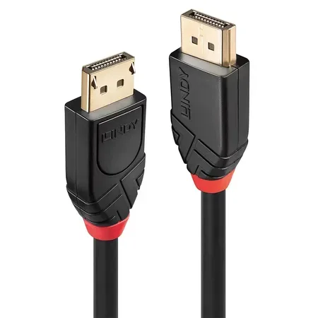 Lindy 41078 DisplayPort kabel 10 m