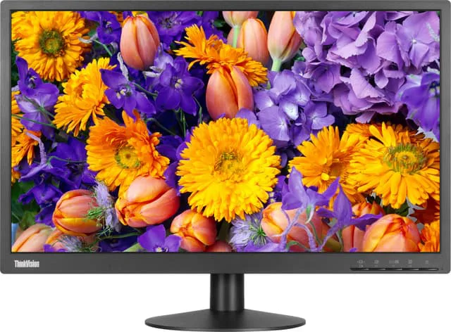 Lenovo THINKVISION E24