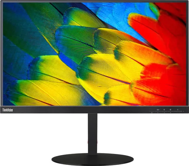 Lenovo ThinkVision T24m 23.8" bildskärm