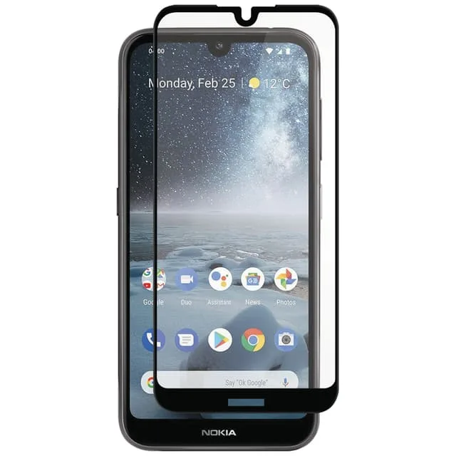 Panzer Full-Fit Nokia 4.2