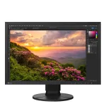 "EIZO Monitor ColorEdge CS2400S CAL 24"" Svart"