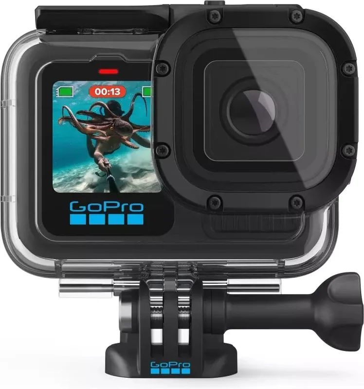 GoPro