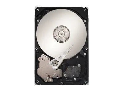 Seagate DB35.3 Series ST3250820SCE