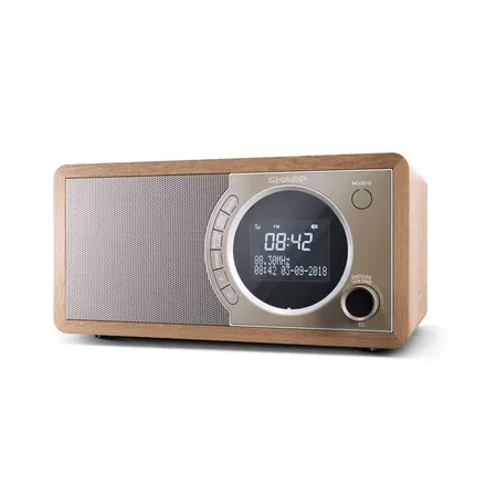 Sharp DR-450 DAB-radio brun/rostfritt stål