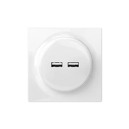 Fibaro - Walli N USB Outlet