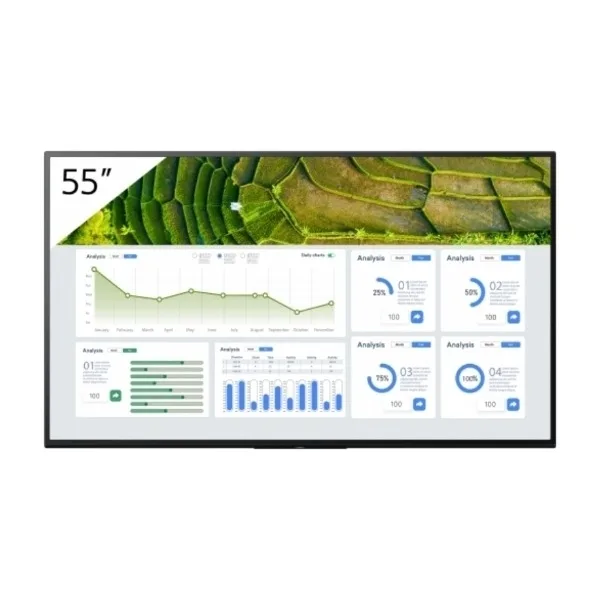 Sony FW-55BZ30L 55" 4K UHD skyltningsdisplay