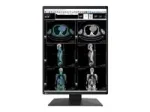 EIZO RadiForce RX370