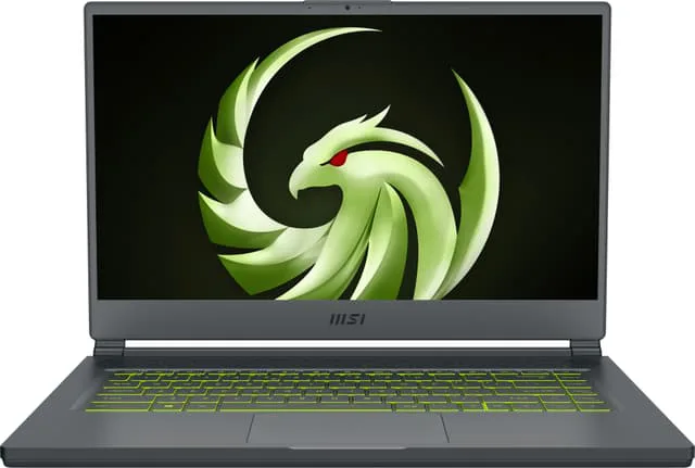 MSI Delta 15 Advantage Edition