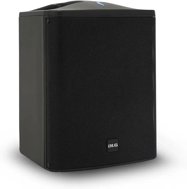 BLG T1 MINI-MKII PA-system