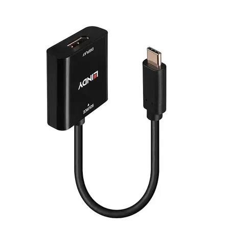 Lindy 43269 USB grafikadapter USB-C till DisplayPort svart