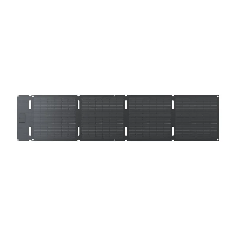 ECOFLOW 60W Solpanel (Typ-C)