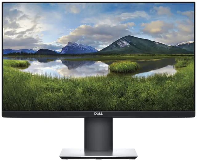 DELL P2319H 23" bildskärm