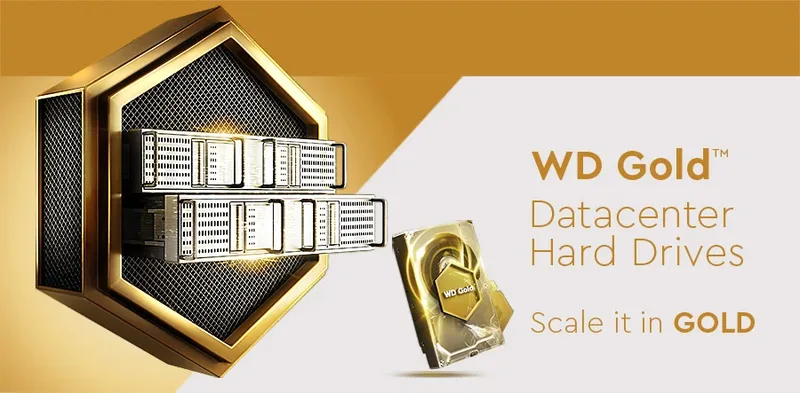 WD Gold WD203KRYZ