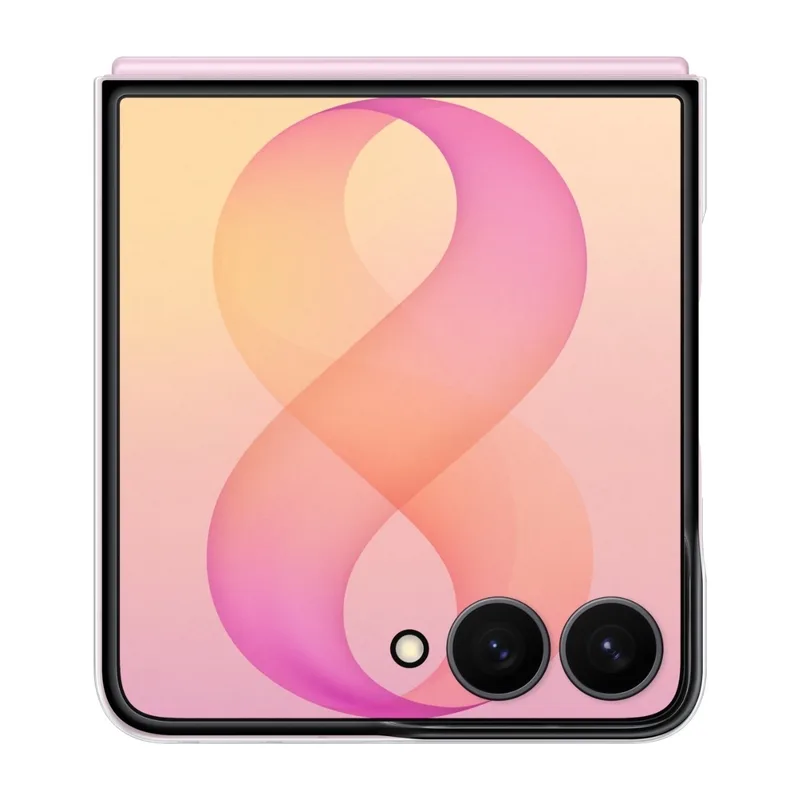Samsung Galaxy Flip8 Clear Magnet fodral (genomskinligt)